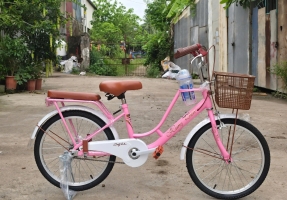 Xe Đạp 20 Inch
