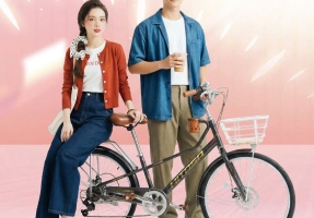 XE ĐẠP HITASA COFFEE 