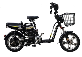 XE ĐIỆN BOMELLI 16