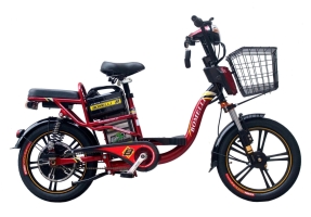 XE ĐIỆN BOMELLI 18